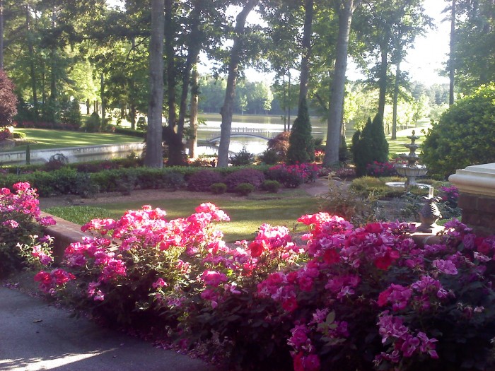 The garden at Montague Lake in Holly Spring, NC